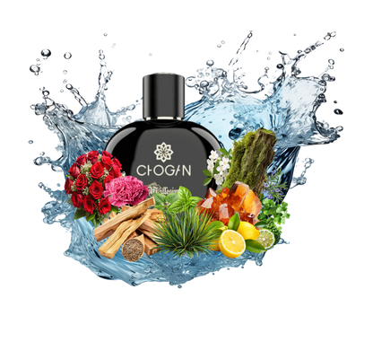 Perfume For Him with 30% essence - 70 ml Br. 012